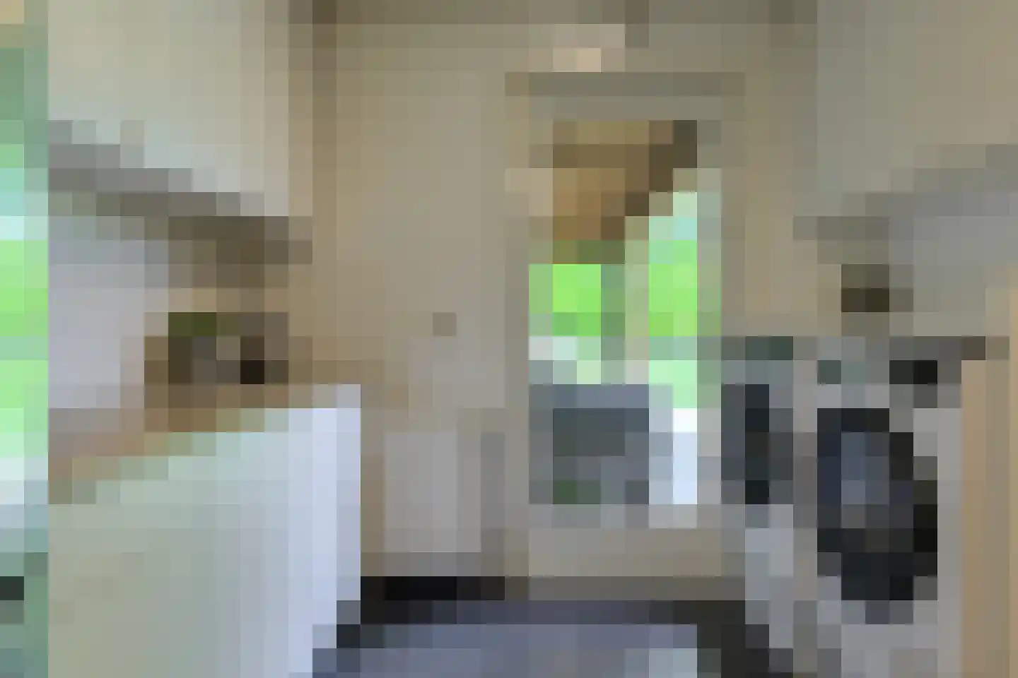 Koolmees 12 Breda thumbnail 29