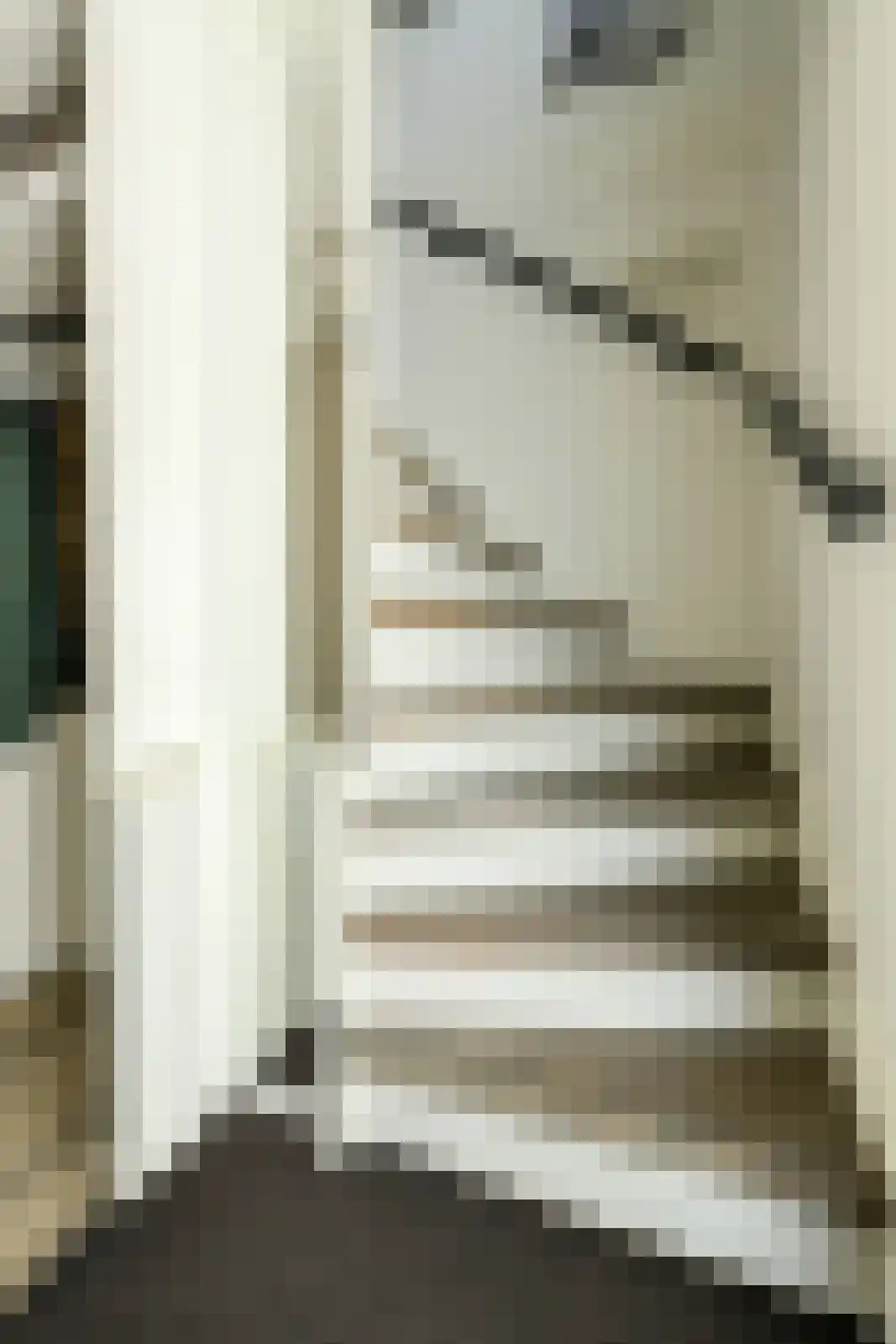 Koolmees 12 Breda thumbnail 33