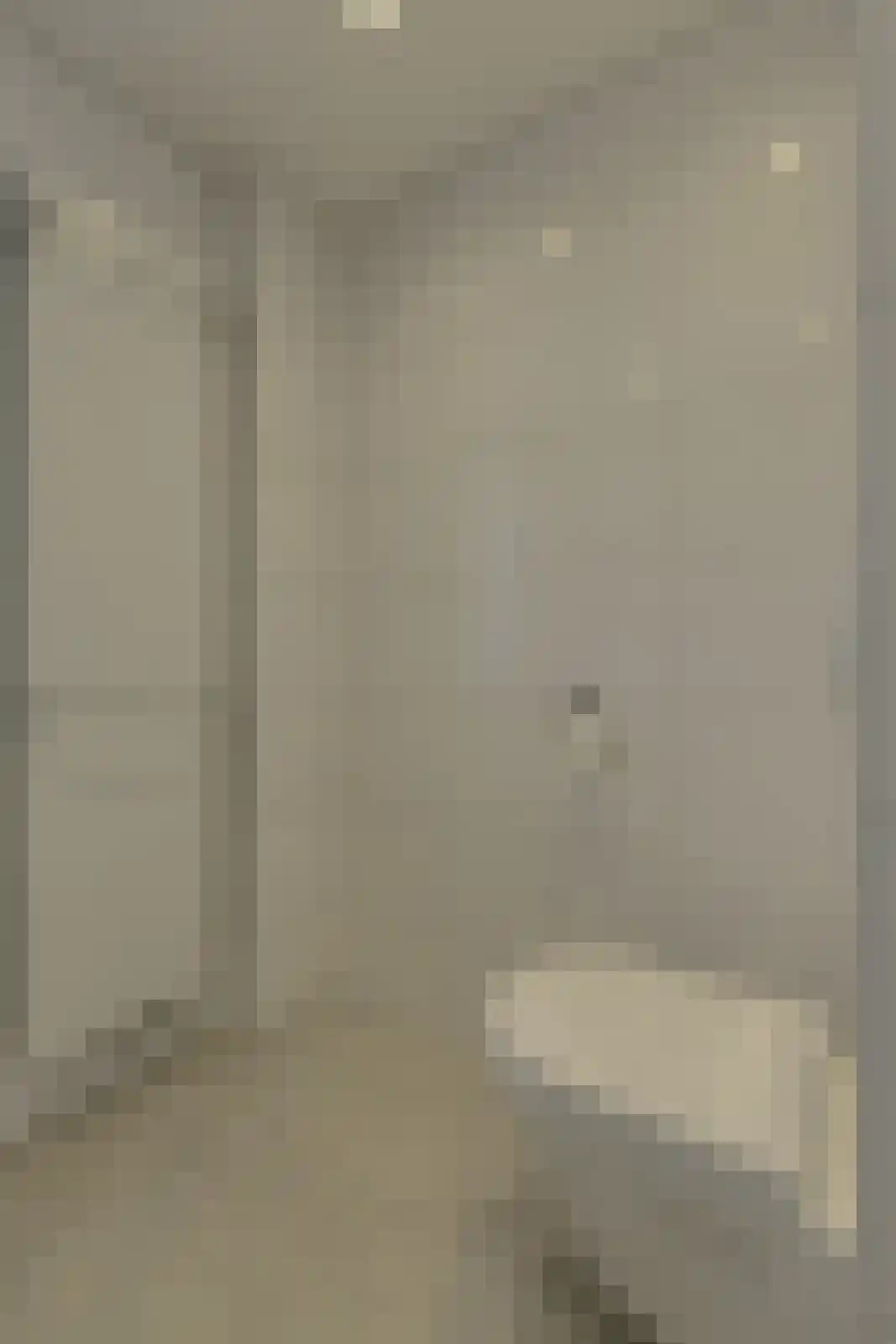 Koolmees 12 Breda thumbnail 37