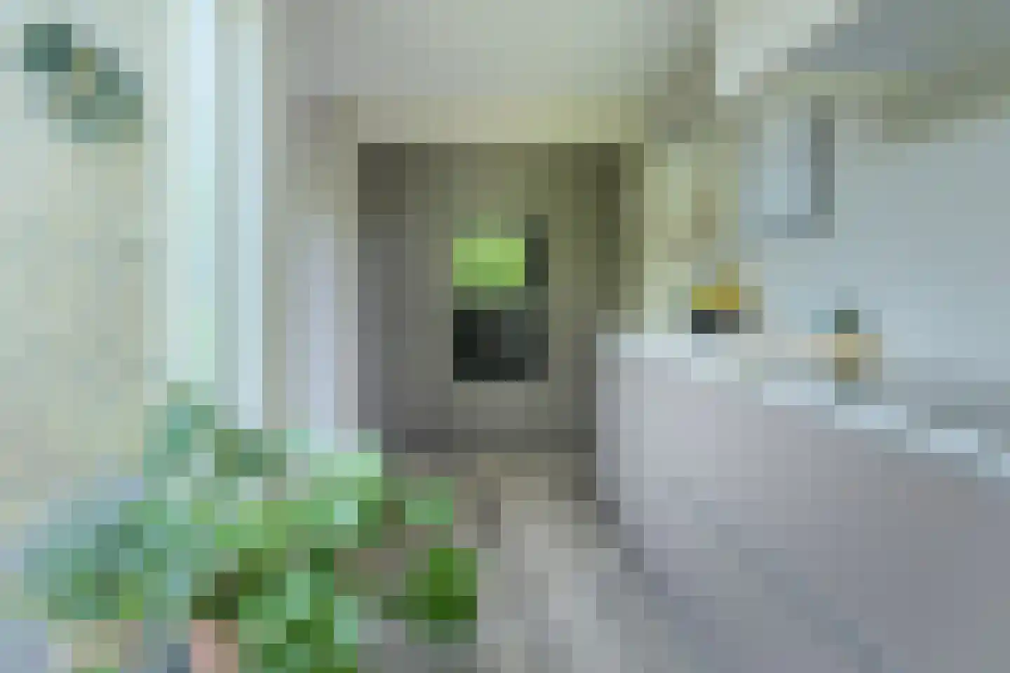 Koolmees 12 Breda thumbnail 4