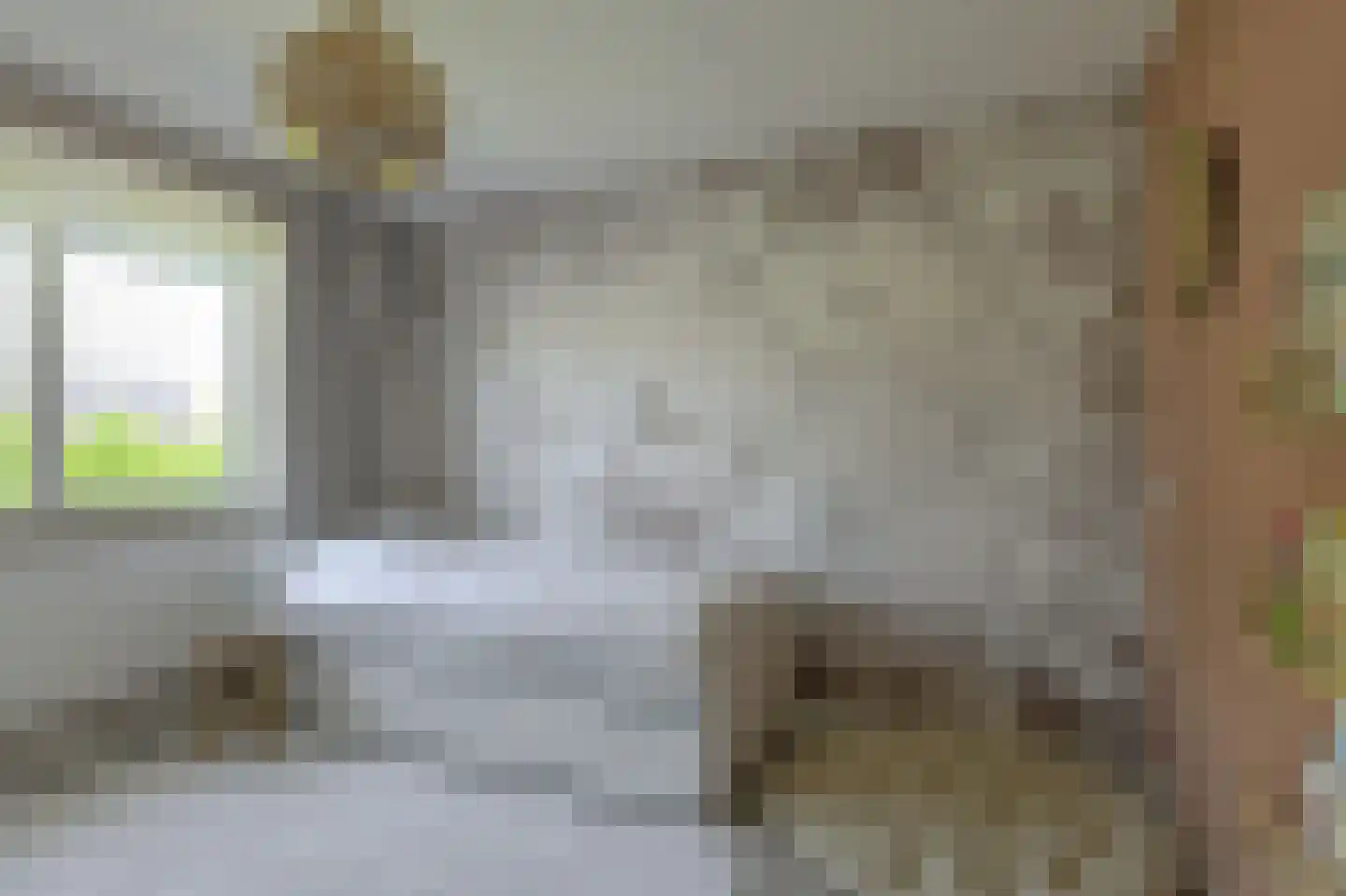 Koolmees 12 Breda thumbnail 40