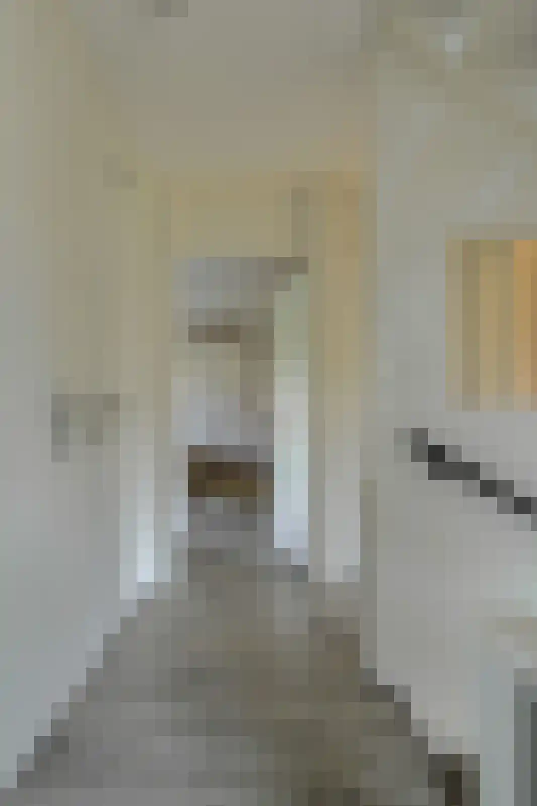 Koolmees 12 Breda thumbnail 44