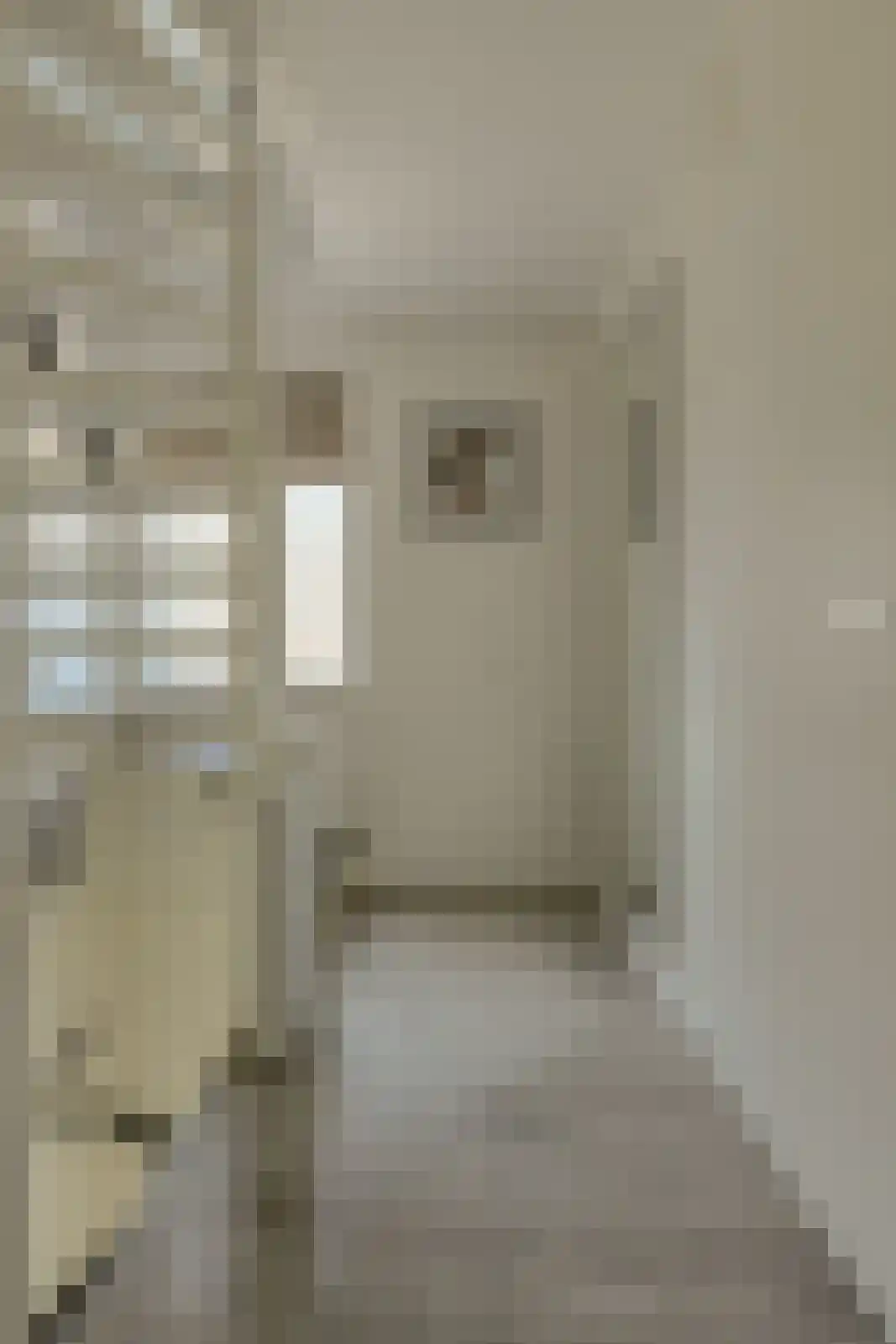 Koolmees 12 Breda thumbnail 45