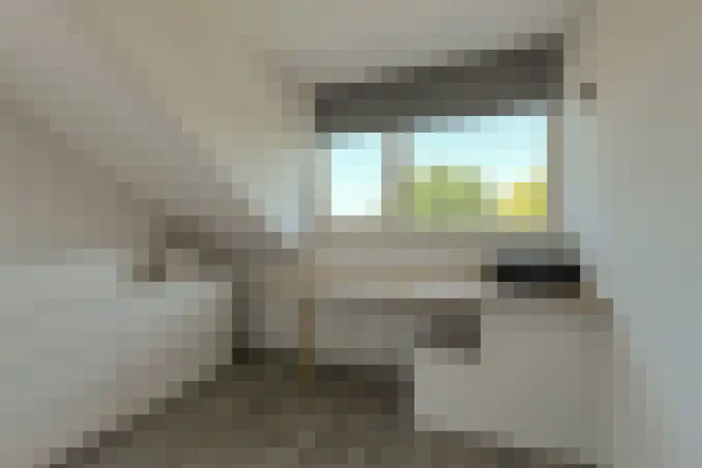 Koolmees 12 Breda thumbnail 49