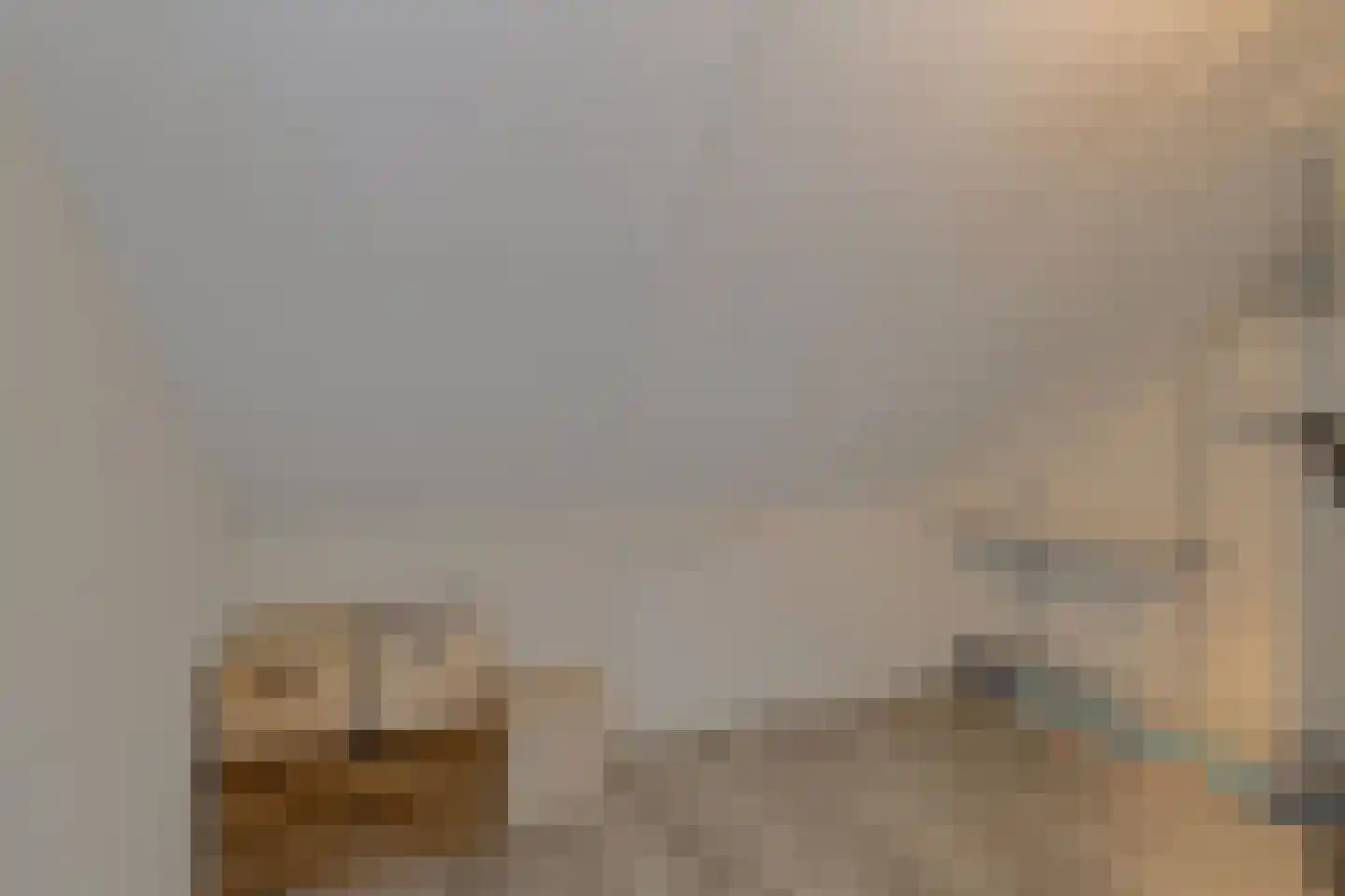 Koolmees 12 Breda thumbnail 50
