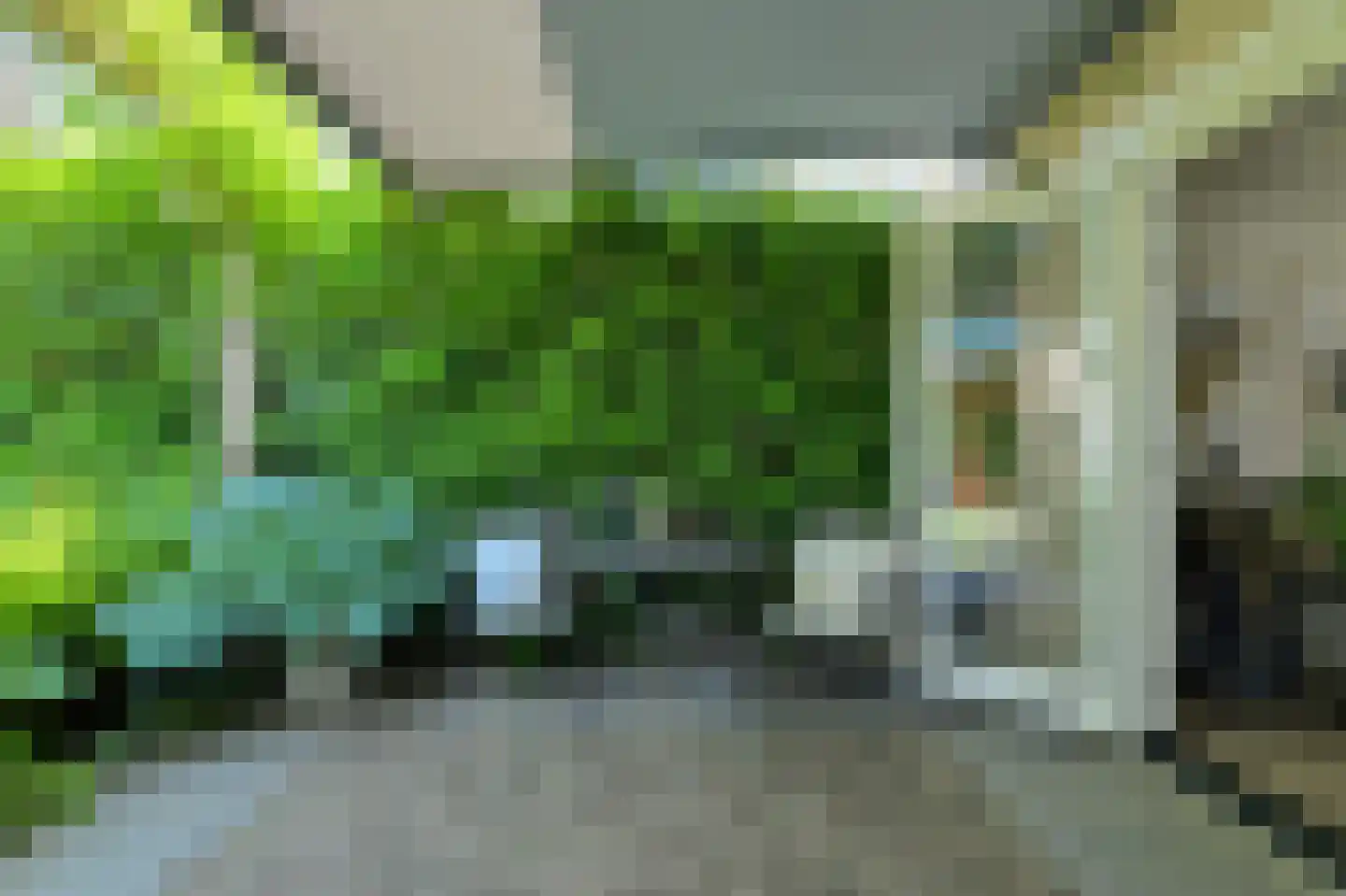 Koolmees 12 Breda thumbnail 51