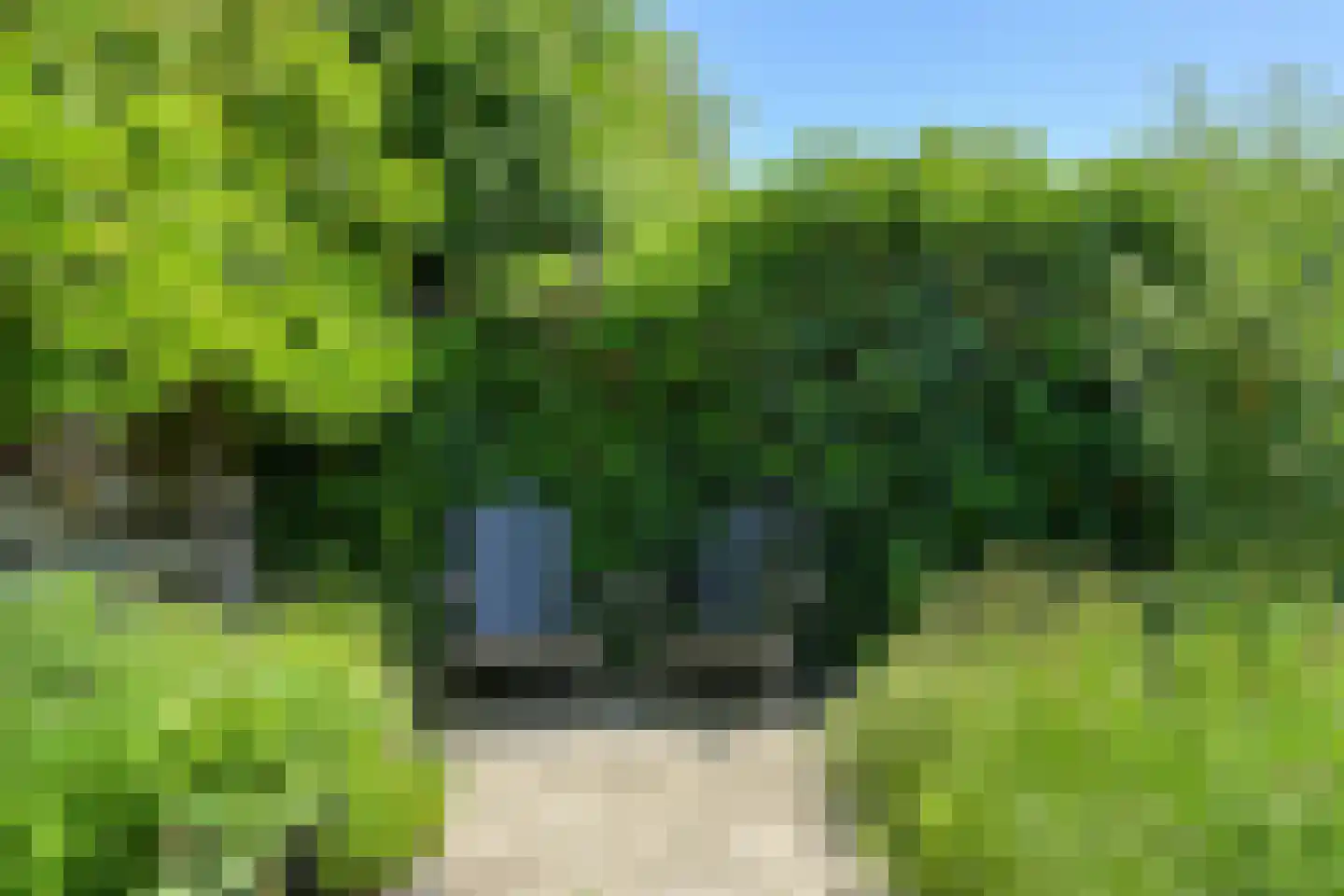 Koolmees 12 Breda thumbnail 53
