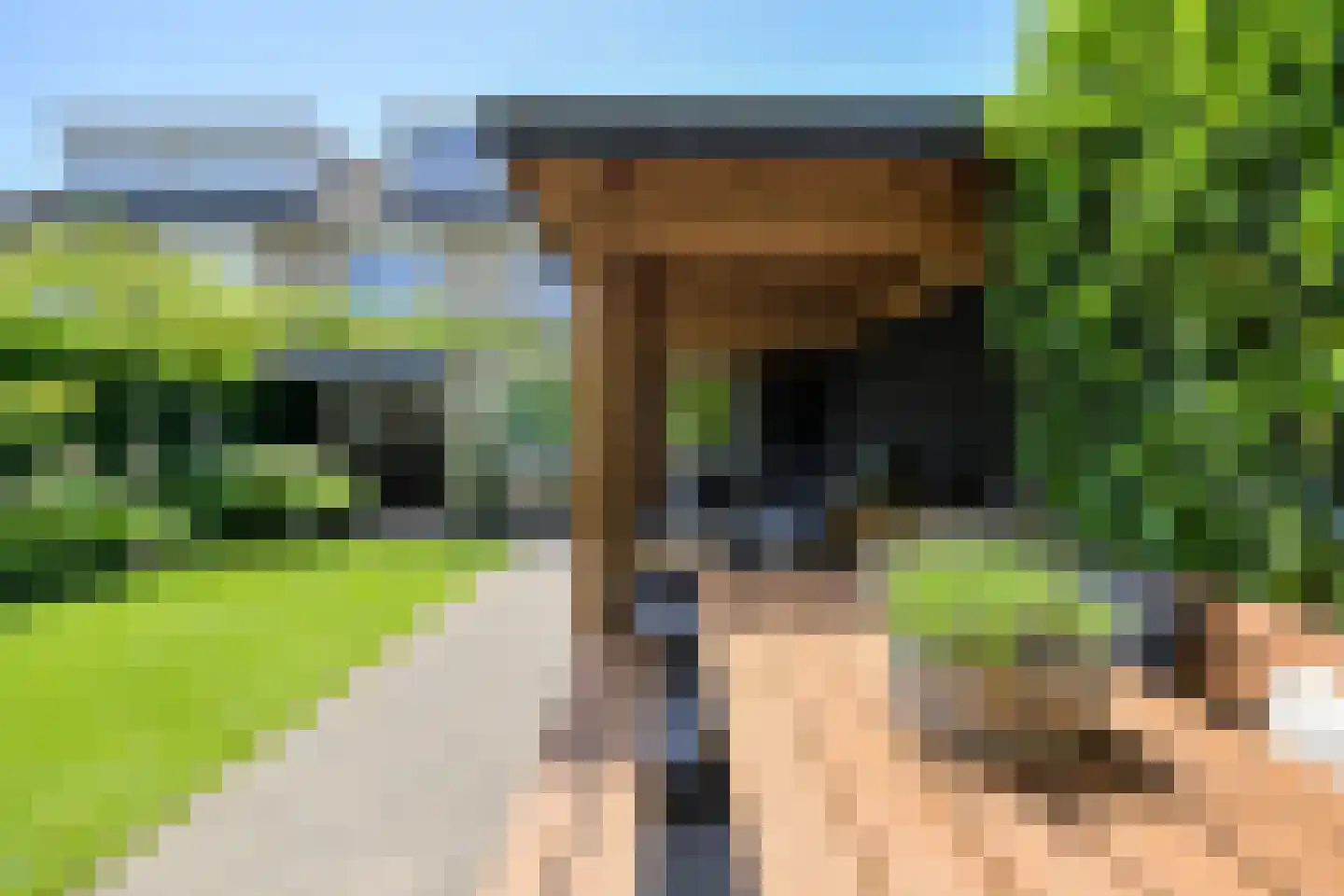 Koolmees 12 Breda thumbnail 55