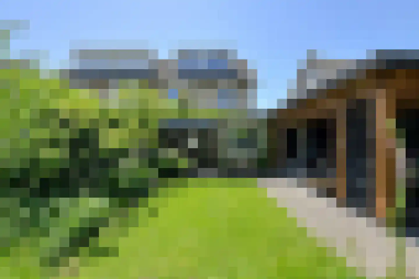 Koolmees 12 Breda thumbnail 56