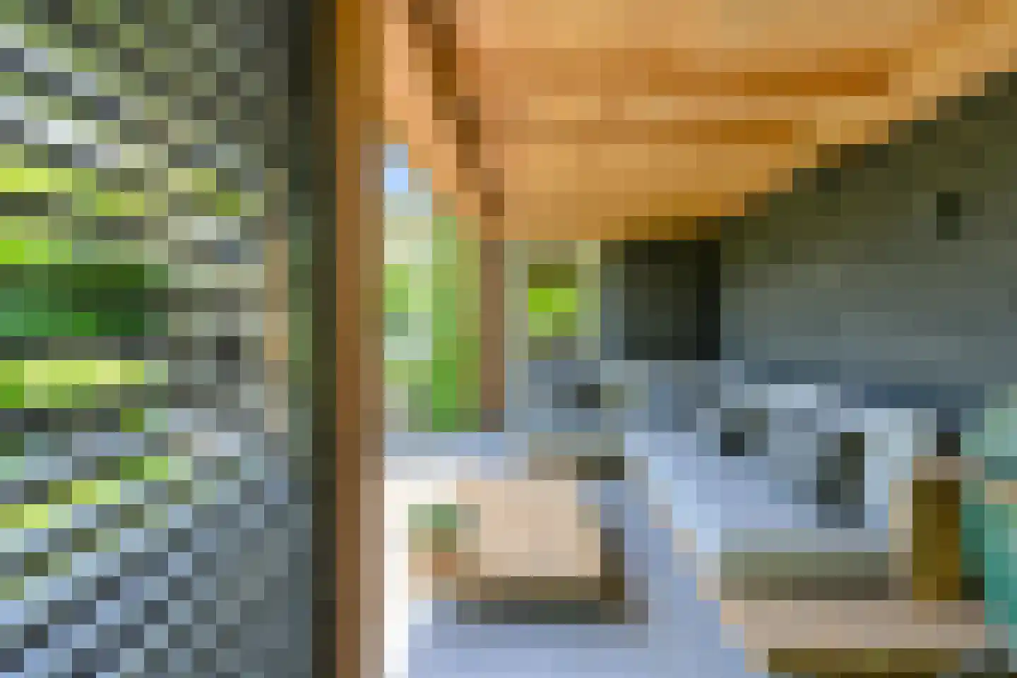 Koolmees 12 Breda thumbnail 57