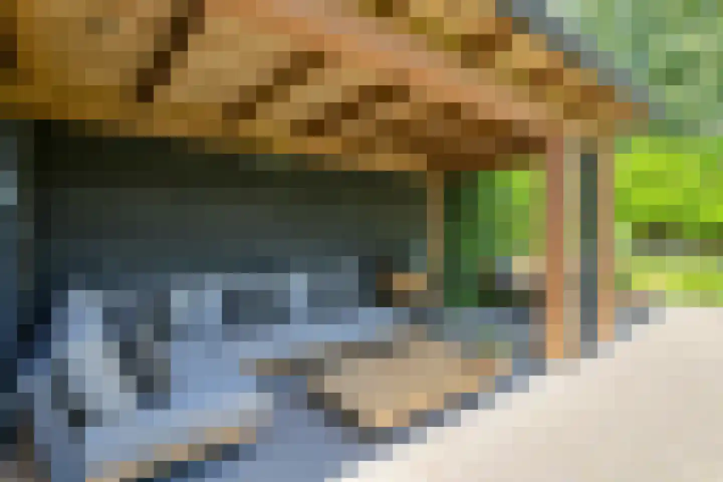 Koolmees 12 Breda thumbnail 58