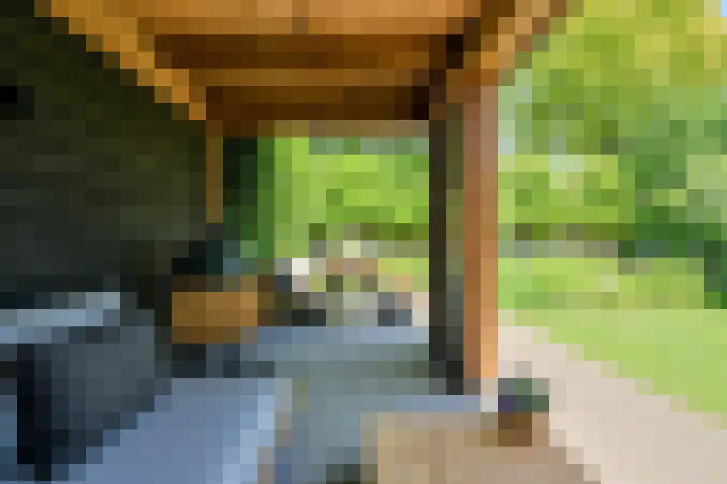 Koolmees 12 Breda thumbnail 59