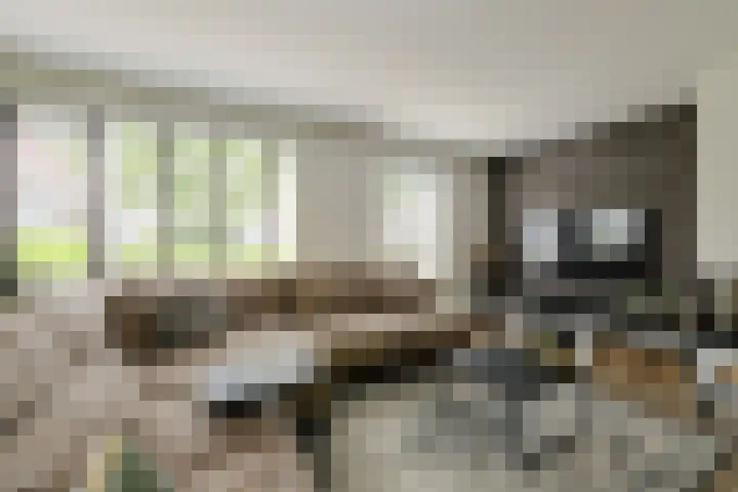 Koolmees 12 Breda thumbnail 6