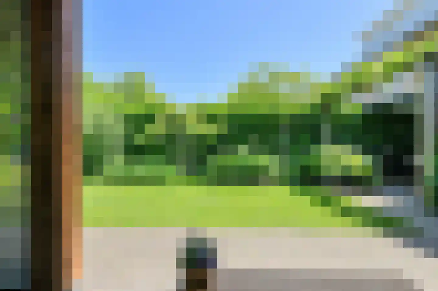 Koolmees 12 Breda thumbnail 60