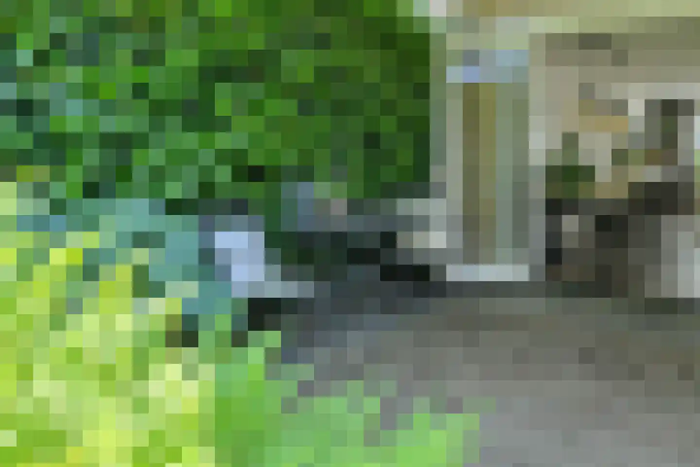 Koolmees 12 Breda thumbnail 62