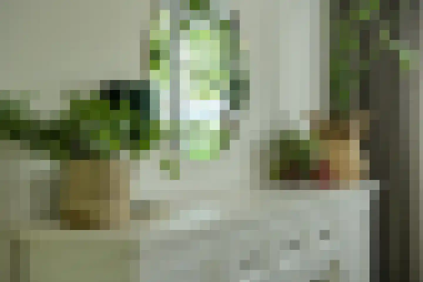 Koolmees 12 Breda thumbnail 7
