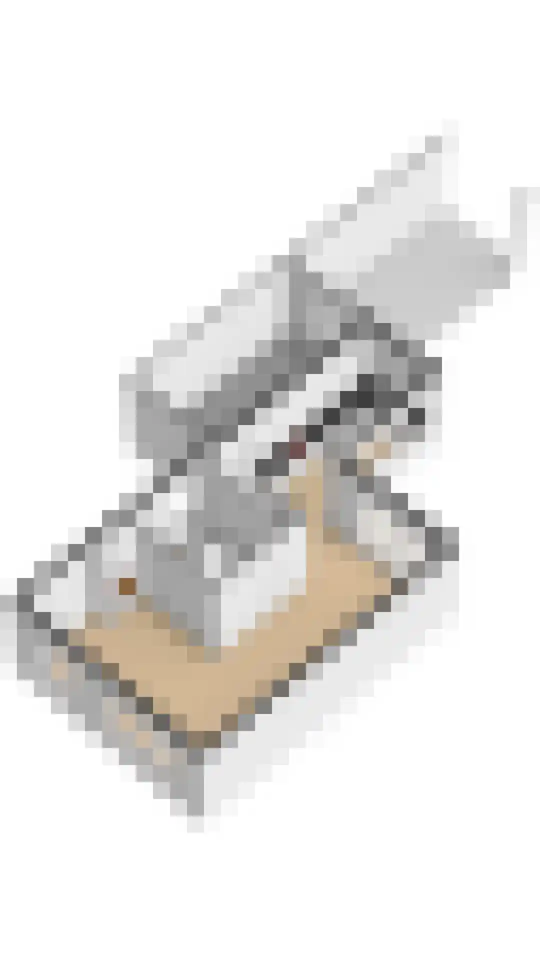 Koolmees 12 Breda thumbnail 70