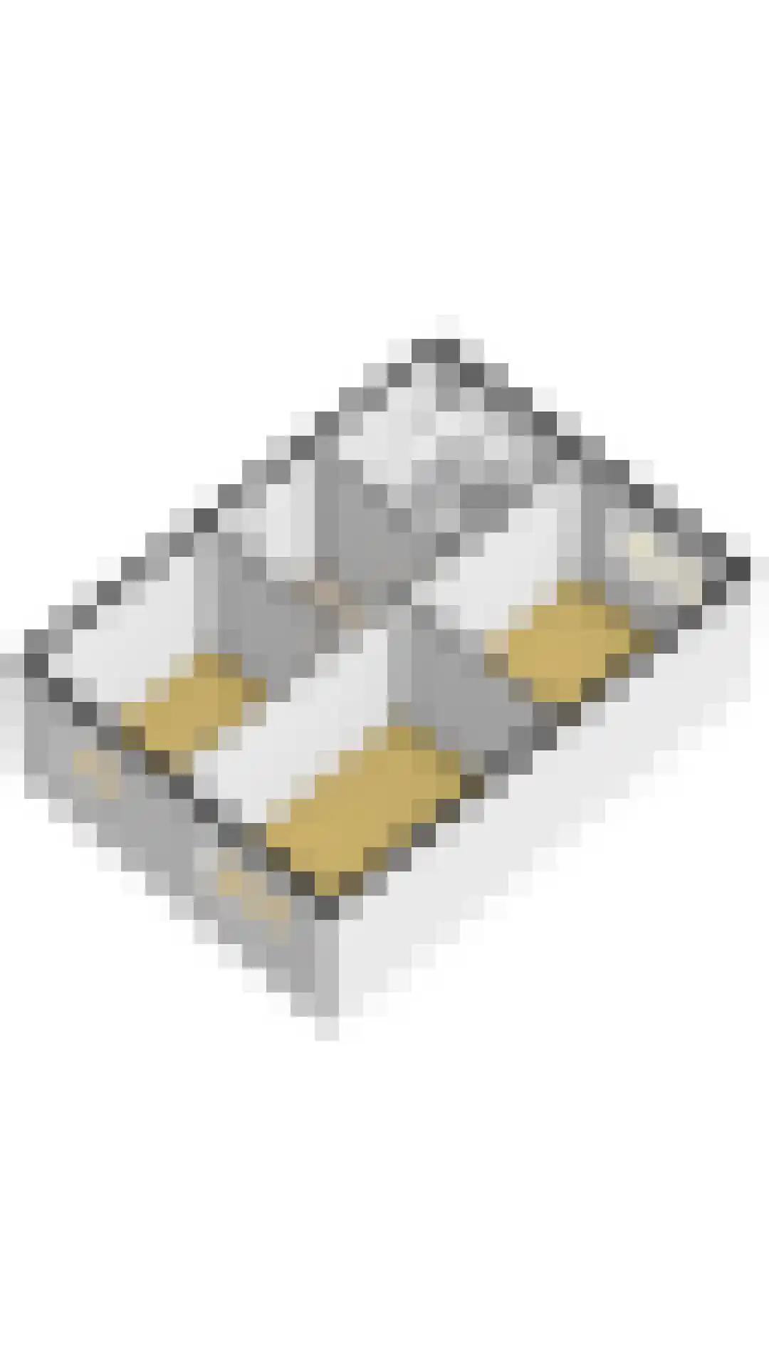 Koolmees 12 Breda thumbnail 71