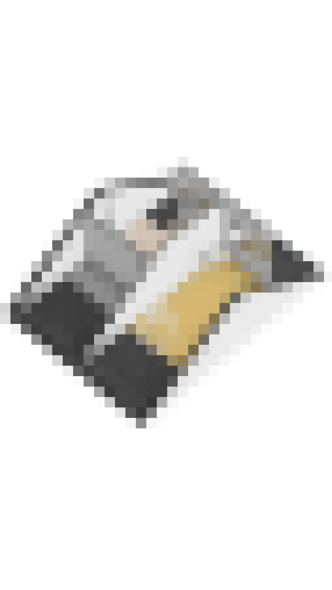 Koolmees 12 Breda thumbnail 72