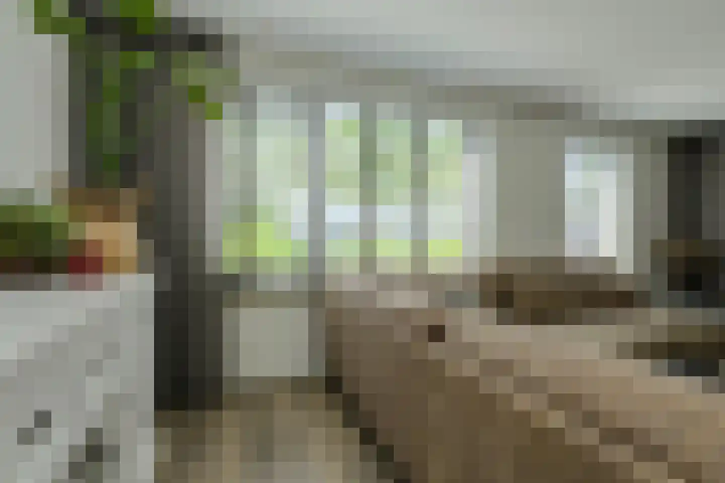 Koolmees 12 Breda thumbnail 8
