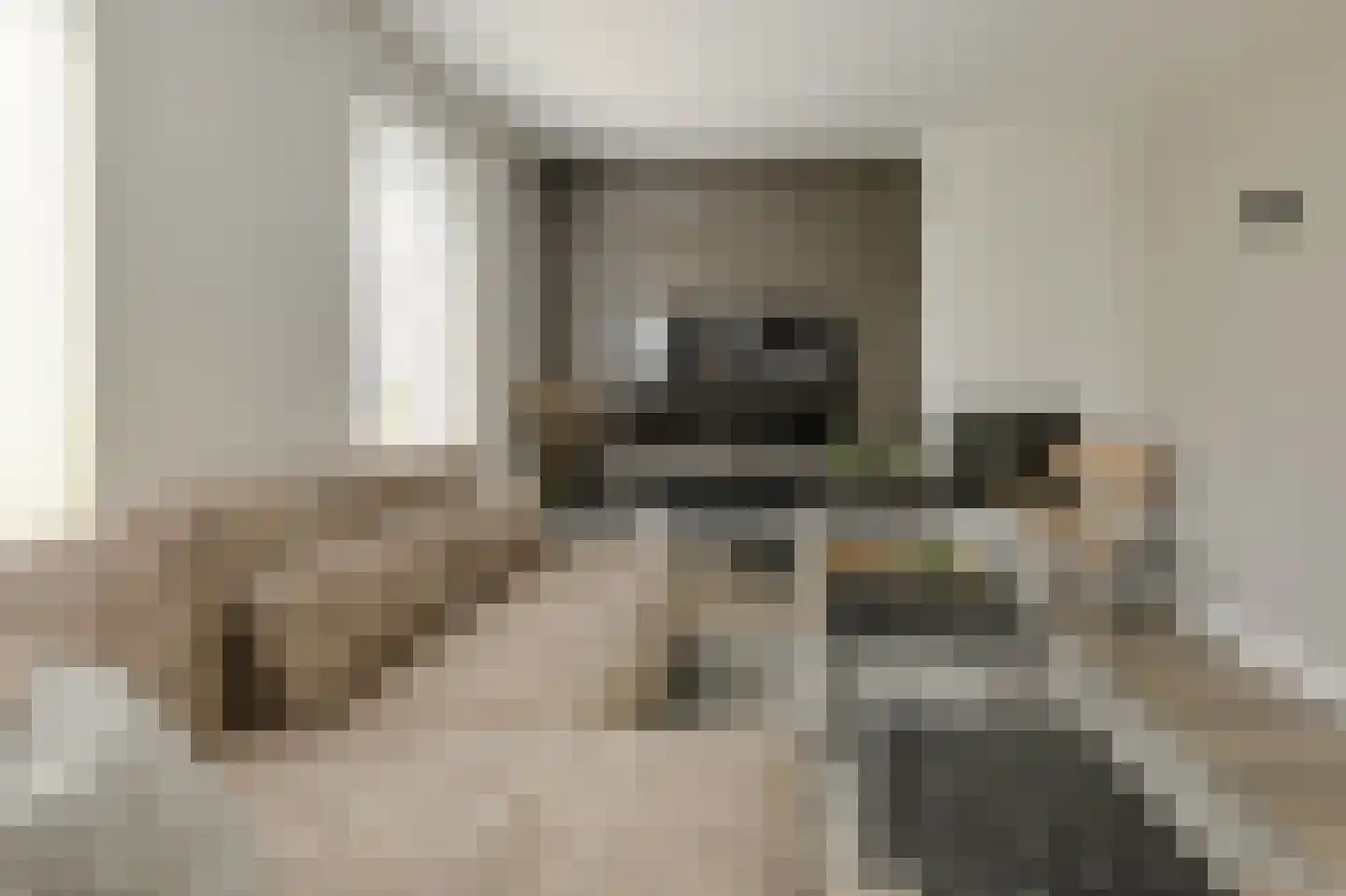 Koolmees 12 Breda thumbnail 9