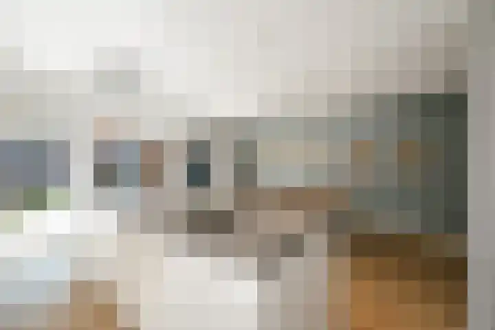 Koolmees 13 Olst thumbnail 12
