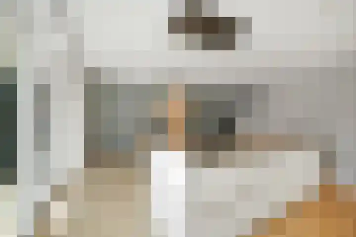 Koolmees 13 Olst thumbnail 13