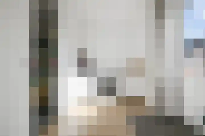 Koolmees 13 Olst thumbnail 14
