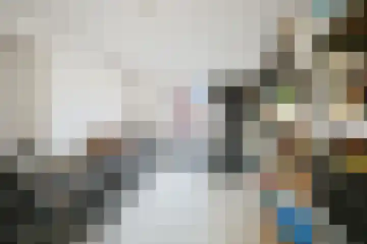 Koolmees 13 Olst thumbnail 15