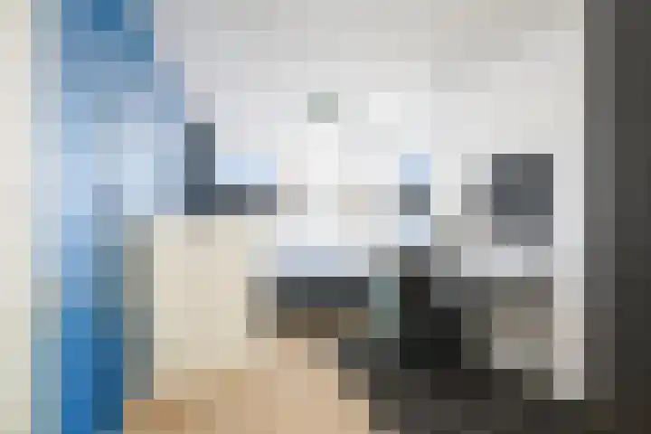 Koolmees 13 Olst thumbnail 17