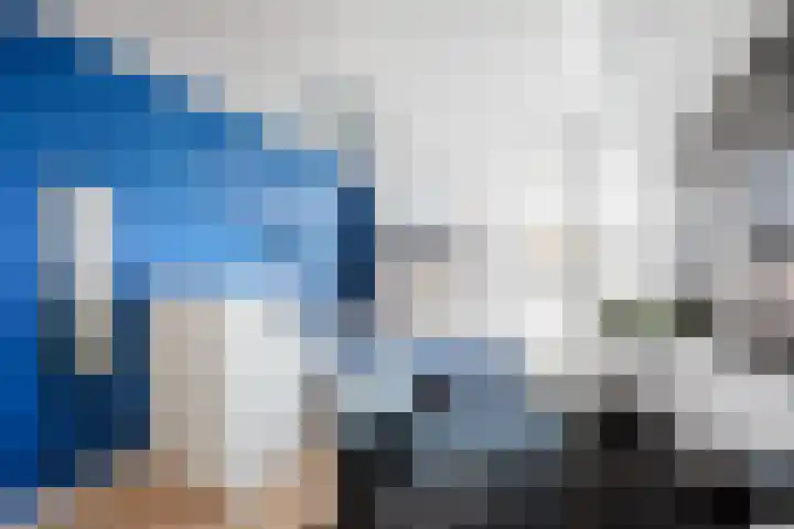 Koolmees 13 Olst thumbnail 18