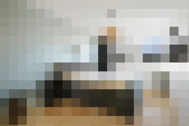 Koolmees 13 Olst thumbnail 19