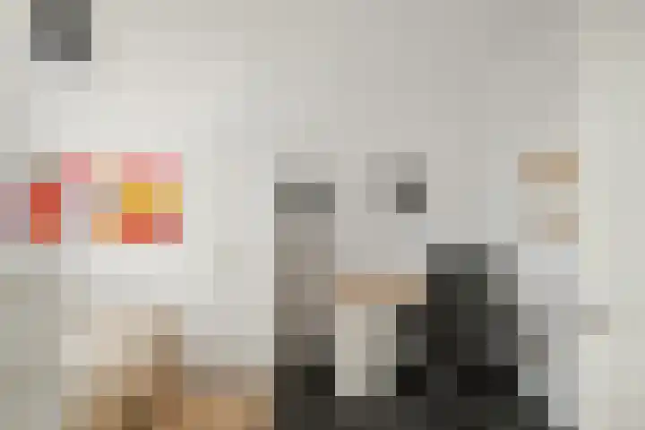 Koolmees 13 Olst thumbnail 20