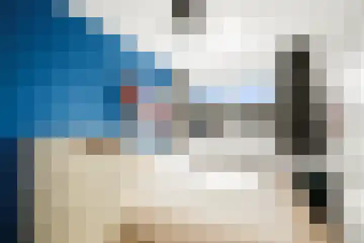 Koolmees 13 Olst thumbnail 21