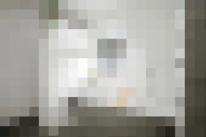 Koolmees 13 Olst thumbnail 23