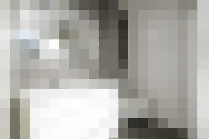 Koolmees 13 Olst thumbnail 24