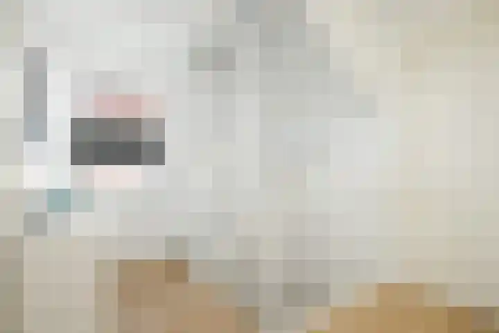 Koolmees 13 Olst thumbnail 25