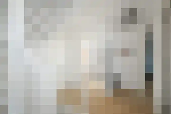 Koolmees 13 Olst thumbnail 26