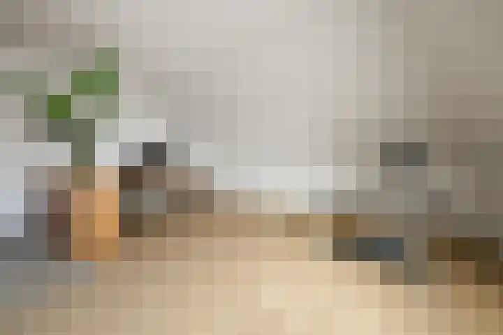 Koolmees 13 Olst thumbnail 27