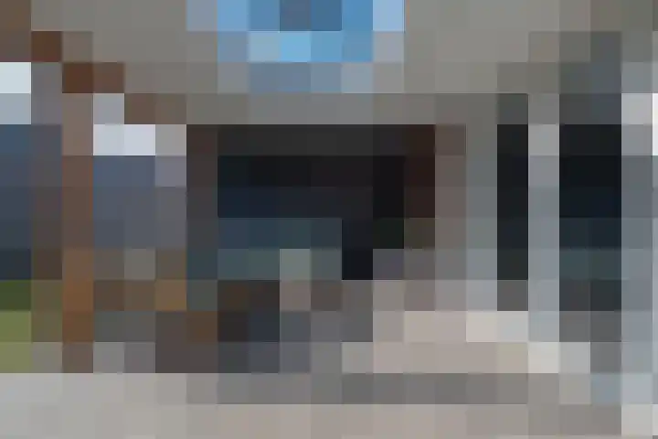 Koolmees 13 Olst thumbnail 29
