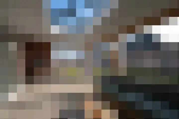 Koolmees 13 Olst thumbnail 30