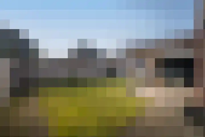 Koolmees 13 Olst thumbnail 31