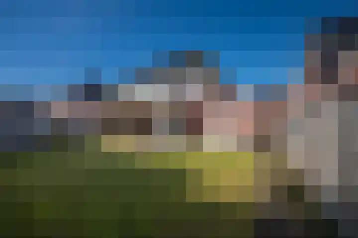 Koolmees 13 Olst thumbnail 32