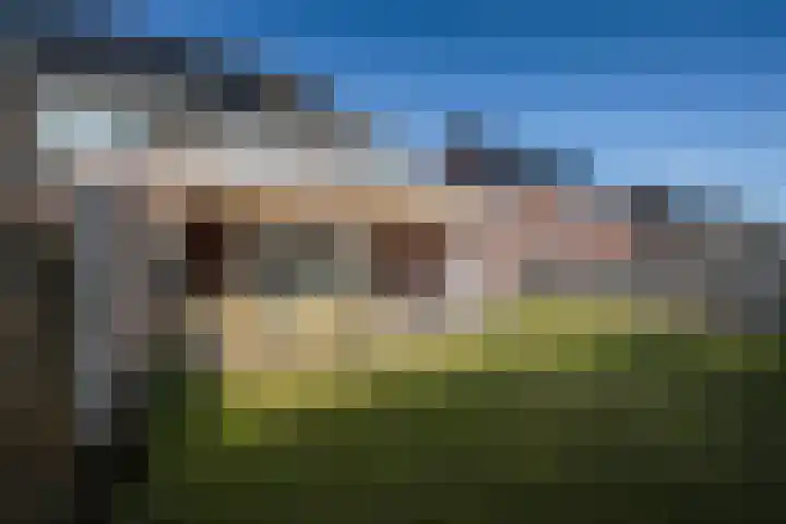 Koolmees 13 Olst thumbnail 33
