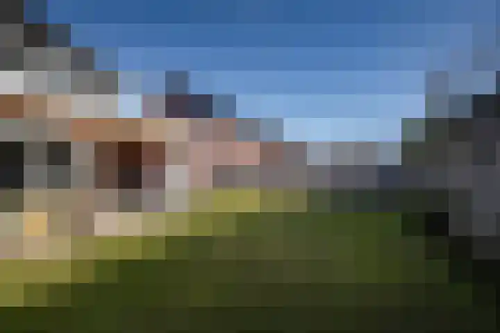Koolmees 13 Olst thumbnail 34