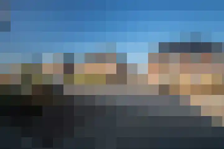 Koolmees 13 Olst thumbnail 4