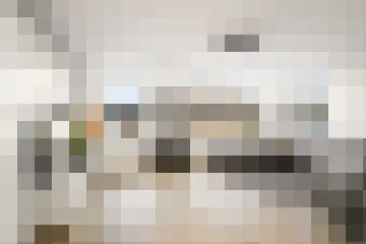 Koolmees 13 Olst thumbnail 5