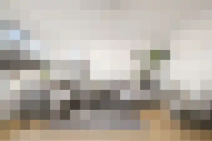 Koolmees 13 Olst thumbnail 6