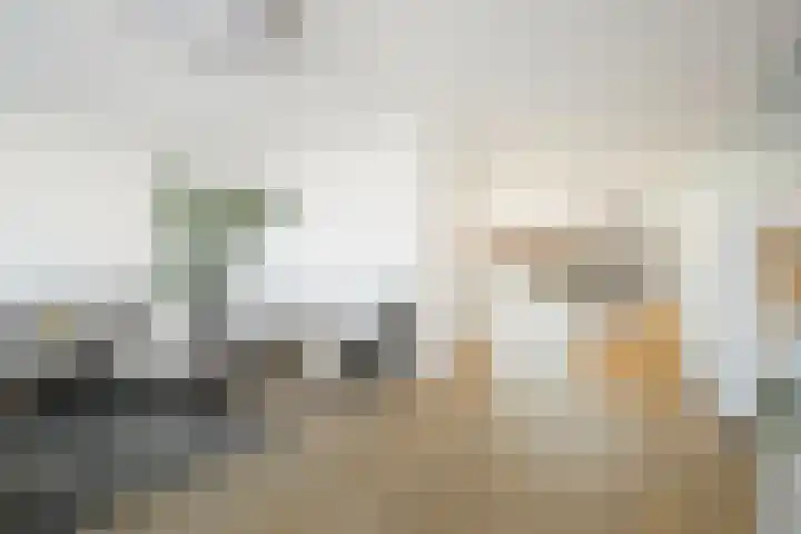 Koolmees 13 Olst thumbnail 7