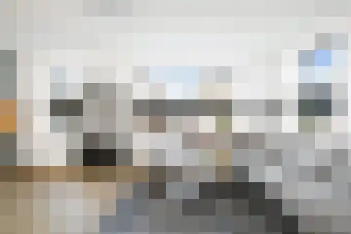 Koolmees 13 Olst thumbnail 8